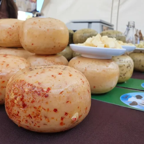 Eine Auswahl an verschiedenen Käsesorten in runder Form. Einige Käse sind mit Gewürzen verziert und auf einem Tisch präsentiert.