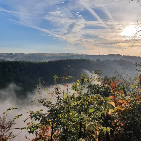 Eine atemberaubende Aussicht auf einen bewaldeten Tal mit Nebel. Die Sonne scheint am Horizont und der Himmel ist klar.