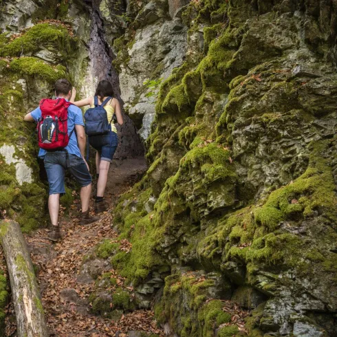 Zwei Wanderer gehen einen schmalen Pfad zwischen grünen Felsen. Die Umgebung ist von Moos und Laub bedeckt.