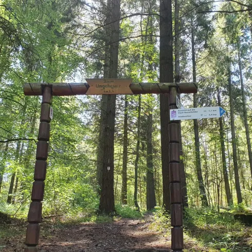 Hölzernes Portal, das den Beginn des Pfadabschnitts "Ungeheuerstein" markiert. Das Portal steht im Wald, der Pfad ist gut erkennbar.
