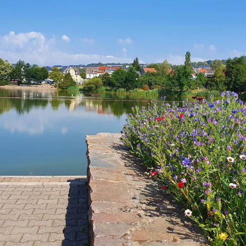 Stadtweiher Baumholder