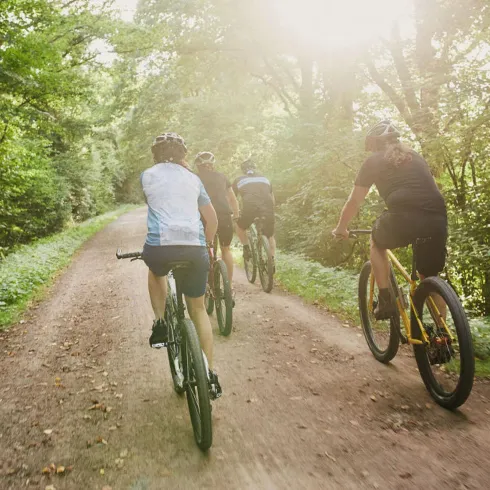 Gruppe von Mountainbikern auf einem Schotterweg im Wald. Die Sonne strahlt durch die Bäume und schafft eine schöne Atmosphäre.