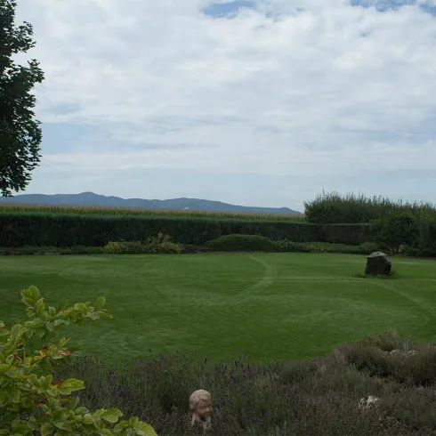 Hofausblick auf Rasenfläche (© Weingut Bierle)