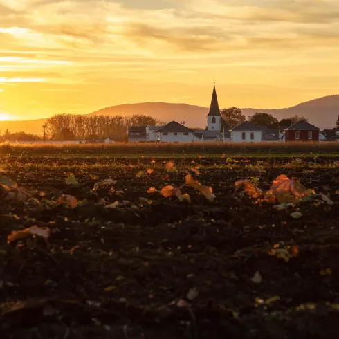 Ein Sonnenuntergang über einem Feld mit verblassten Blättern. Im Hintergrund ist ein kleiner Ort mit einer Kirche zu sehen.