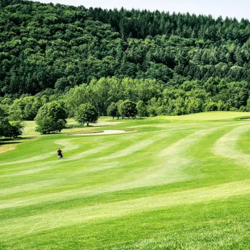 Golfplatz 1 (© Archiv Golfplatz Pfälzerwald GmbH)