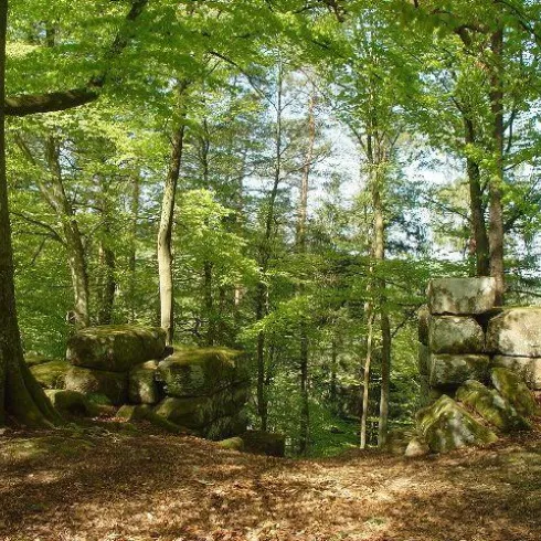 Heidelsburg (© Touristikbüro Holzland / Sickinger Höhe)