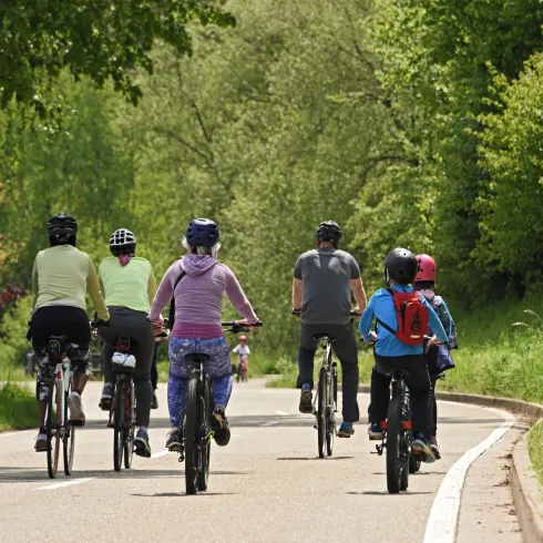 Eine Gruppe von Radfahrern fährt auf einer kurvigen Landstraße. Die Umgebung ist grün und von Bäumen gesäumt.