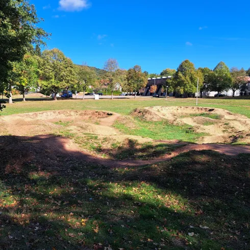 Ein offener Park mit sanften Hügeln und einem unbefestigten Weg. Umgeben von Bäumen und grünem Gras, bietet er viel Platz für Aktivitäten im Freien.