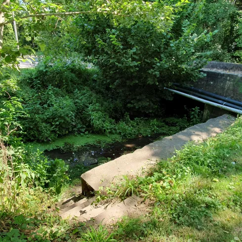 Ein kleiner Wasserlauf, der von üppigem Grün umgeben ist. Im Hintergrund sind Rohre und eine Straße sichtbar.