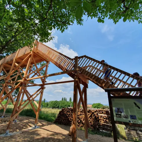 Aussichtsplattform am Storchenwanderweg Winden
