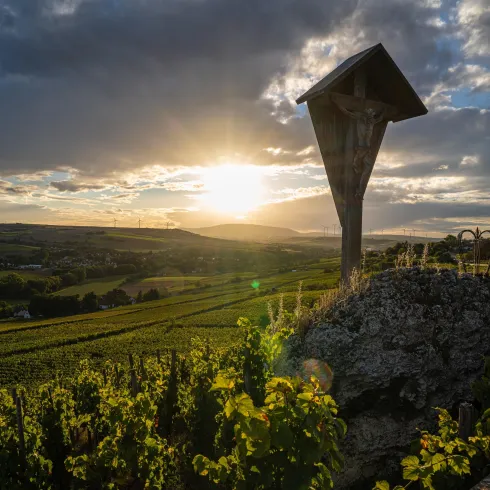 Eine malerische Weinlandschaft bei Sonnenuntergang. im Vordergrund ein Aussichtspunkt und grüne Weinreben.
