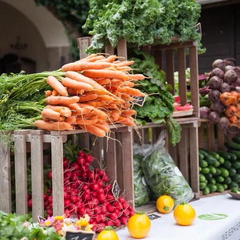 Donnersberger Genussmarkt 2019 (© Donnersberg-Touristik-Verband e.V.) Donnersberger Genussmarkt 2019 (© Donnersberg-Touristik-Verband e.V.)