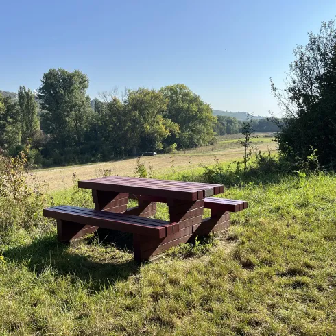 Ein Picknicktisch steht in einer grünen Wiese. Im Hintergrund sind Bäume und eine herrliche Landschaft sichtbar.