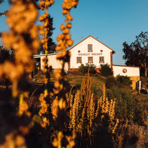 Weingut Bremer (© Agentur Tamed)