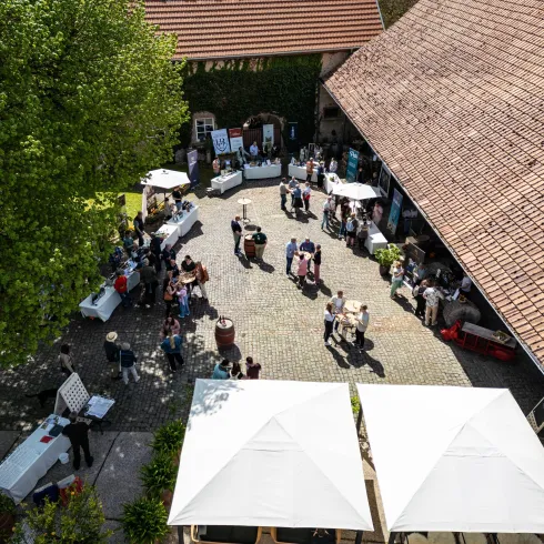 Donnersberger Weinforum (© Donnersberg-Touristik-Verband e.V., Medienagentur Fachenbach)
