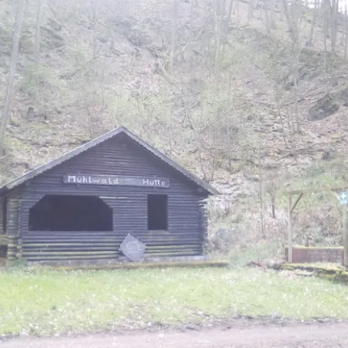 Eine einfache, rustikale Hütte inmitten eines bewaldeten Gebiets. Im Hintergrund sind Bäume und ein sanfter Hang zu sehen.
