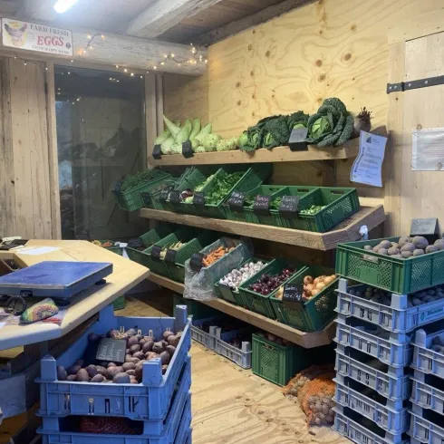 Ein kleiner Verkaufsstand mit frischem Gemüse und Obst. Regale sind mit verschiedenen Sorten gefüllt, während ein Tisch bereit zum Abwiegen von Produkten steht.