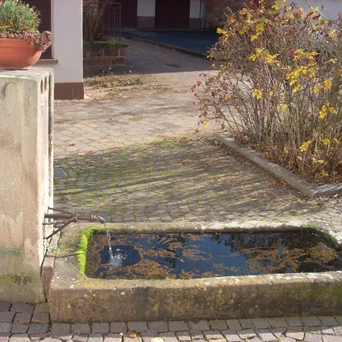 Ein alter Brunnen aus Stein steht in einem gepflasterten Innenhof. Umgeben von Pflanzen zeigt er einen stillen, rustikalen Charme.