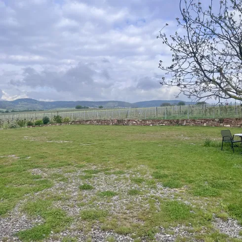 Stellplatz Weingut Mühlhäuser (© Weingut Mühlhäuser)