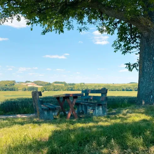 Picknickplatz "Unterm Nussbaum" (© Christoph Bauer)