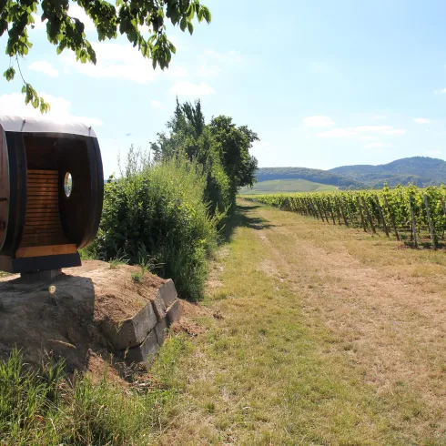 Ein Weinberg mit einer Steinstraße unter blauem Himmel. Im Vordergrund steht ein großes Holzfass.