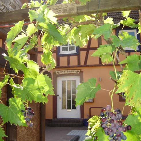 Gasthaus Zum Salztrippler