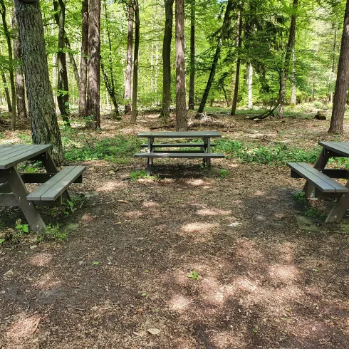 Rastplatz an der T-Kreuzung Erlenhof 2