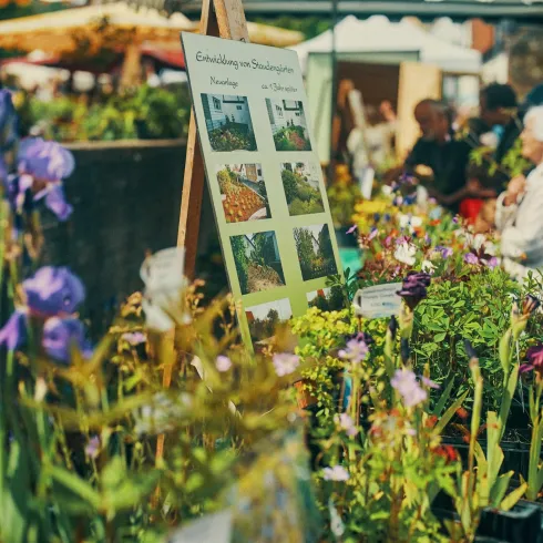 Ein farbenfroher Markt mit vielen Blumen und Pflanzen. Menschen schlendern zwischen Ständen und genießen die Atmosphäre.