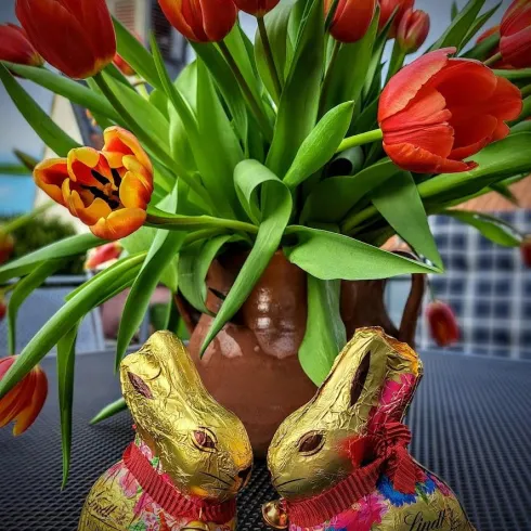 Zwei goldene Schokoladenkaninchen stehen neben einem Topf mit bunten Tulpen. Der Hintergrund zeigt eine entspannte Umgebung.