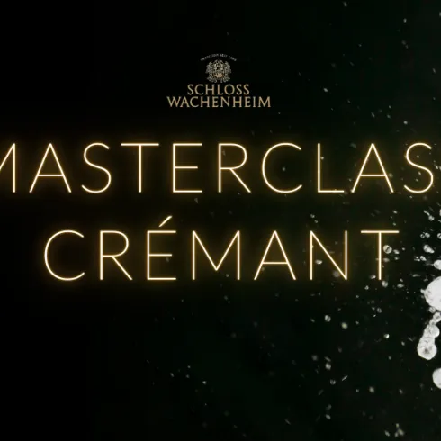 mc1 (© Tourist Info Wachenheim)