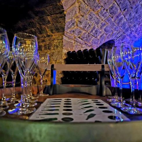 Sektseminar 1 (© TI Wachenheim)