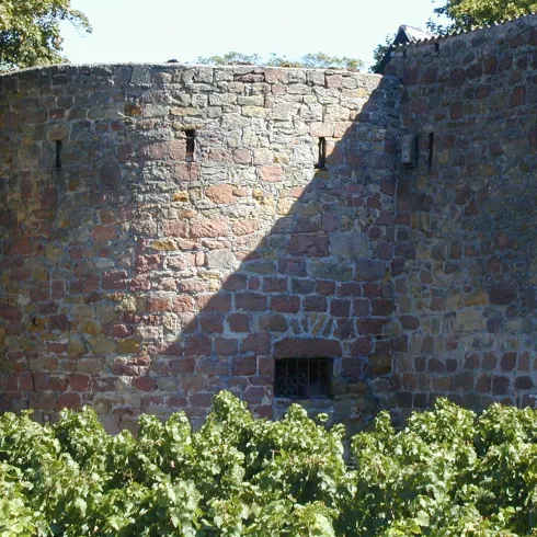 Diebsturm (© Tourist Information)