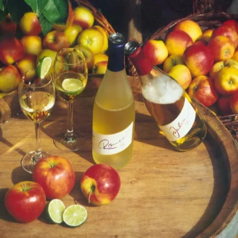 apfelsekt1 (© Peter Zimmermann)