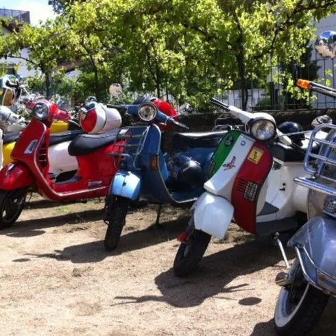 Vespatreff3 (© TI Wachenheim)