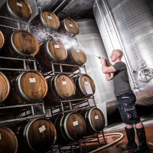 Foto 1 (© TI Wachenheim)