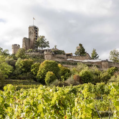 Wachtenburg (© Stobbe)