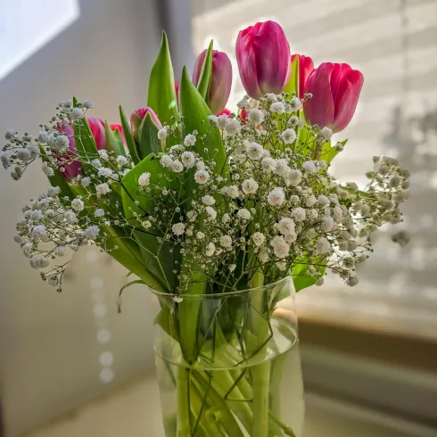 Ein schöner Blumenstrauß mit rosa Tulpen und zarten weißen Blüten. Er steht in einer klaren Vase und bringt Farbe in den Raum.