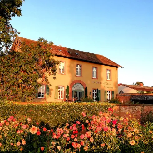 Ein charmantes Gebäude umgeben von bunten Blumen und Bäumen. Der Himmel ist klar und die Atmosphäre ist einladend.