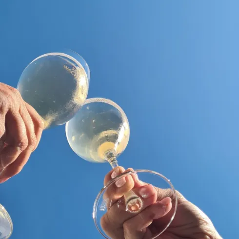 P2 (© Tourist Info Wachenheim)