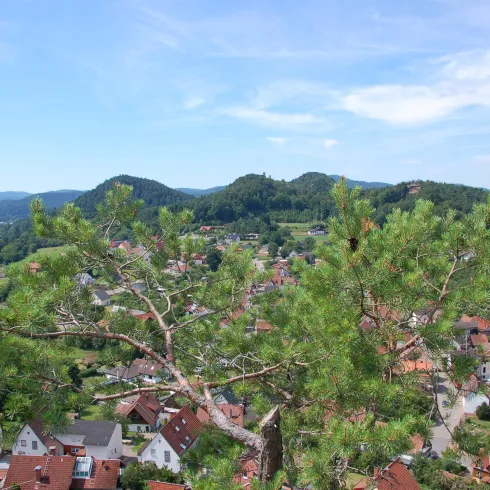 Dorfblick (© Tourist-Information Dahner Felsenland)