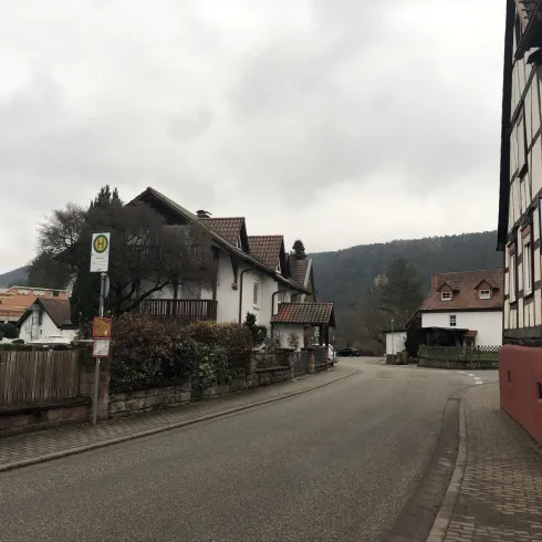 Bushaltestelle Erfweiler Ort (© Adrian Stilgenbauer)