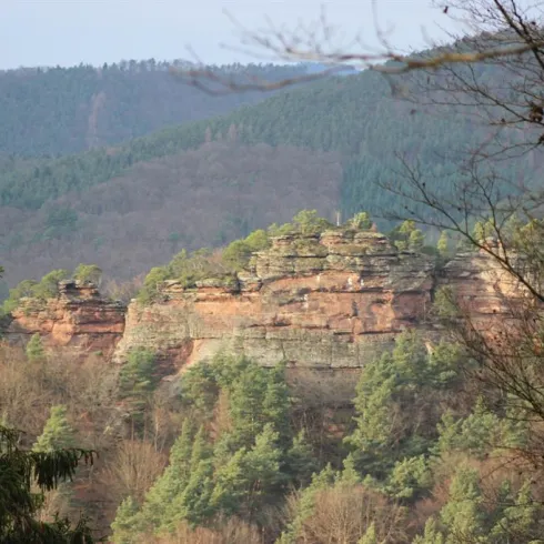 Haselstein (© Archiv TI Bad Bergzabern)