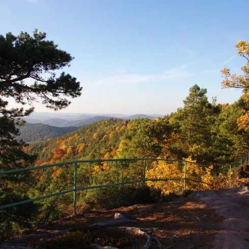 Ein malerischer Blick auf die herbstlichen Hügel mit bunten Bäumen und einem klaren Himmel. Der Weg ist von einem Geländer gesäumt, das die Aussicht schützt.