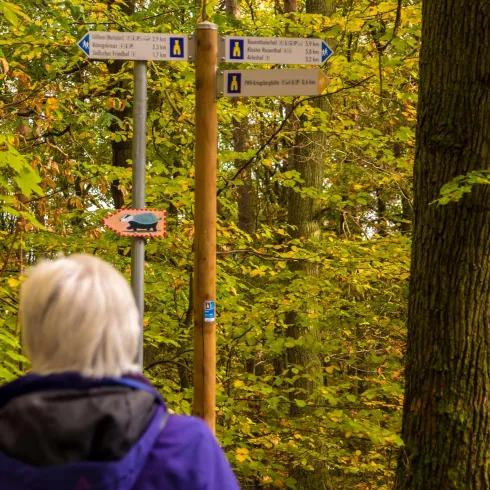 Adolf von Nassau Weg (© Kurt Lahr)