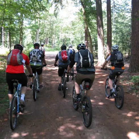 Eine Gruppe von Radfahrern fährt einen Waldweg entlang. Bäume umgeben den Pfad und die Sonne scheint durch das Laub.