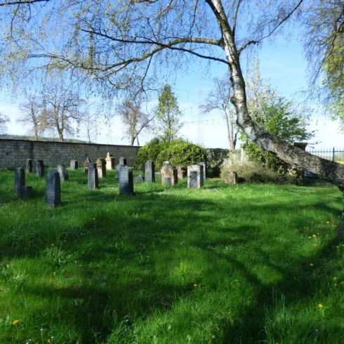 Ein ruhiger Friedhof mit Grabsteinen, umgeben von grünem Gras und Bäumen. Die Sonne scheint und der Himmel ist klar.