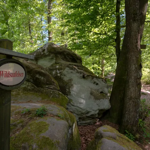 Ein Waldweg mit einem Schild, das "Wildsaufelsen" anzeigt. Im Hintergrund sind große Felsen und grüne Bäume zu sehen.