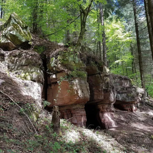 Eine Felsformation im Wald, umgeben von Bäumen und grünem Laub. Die Felsen sind rot und zeigen eine natürliche Höhle.