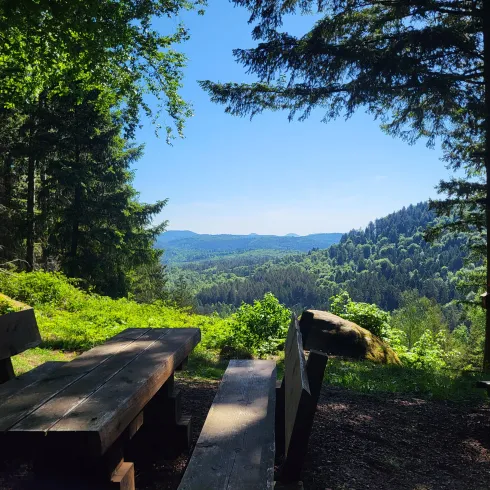 Ein malerischer Ausblick auf grüne Hügel und Wälder. Im Vordergrund stehen Holzbänke und ein Tisch in der Natur.
