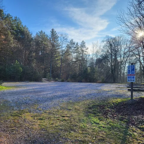 Ein Parkplatz im Wald mit vielen Bäumen und klarem Himmel. Die Umgebung wirkt ruhig und einladend.